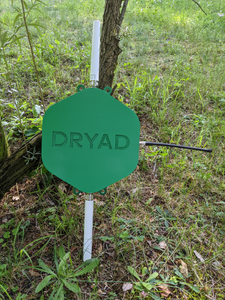 A Dryad sensor with Swarm Antenna