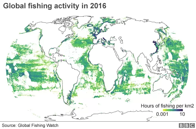 Map of global fishing activity in 2016